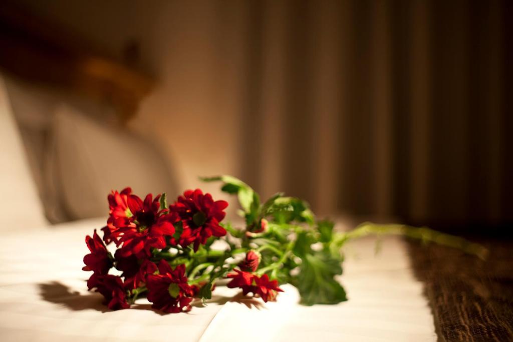 Dahlia Inn Praha Ruang foto